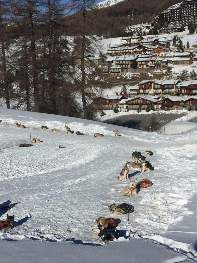 Royal Lägenhet Colle Colle Sestriere Exteriör bild